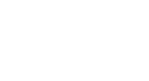 fast delivery